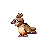 Pidgey pixel-art sprite